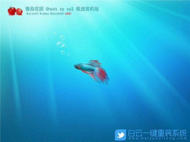 番茄花園 Ghost XP SP3 極速裝機版 (By_2021.01) 界面1