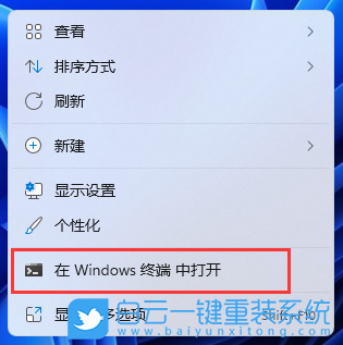 電腦型號怎么看,電腦型號,Win11步驟