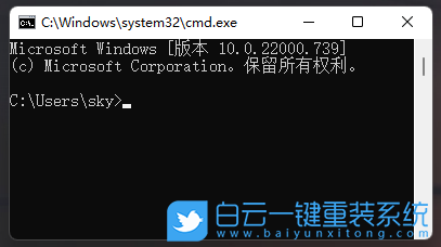 Win11,ping,網絡地址步驟