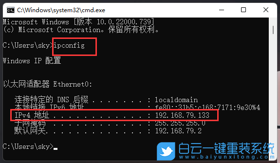 Win11,ping,網絡地址步驟